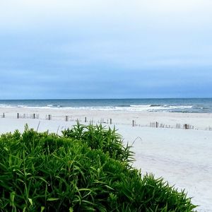 Meet your Posher, Hope